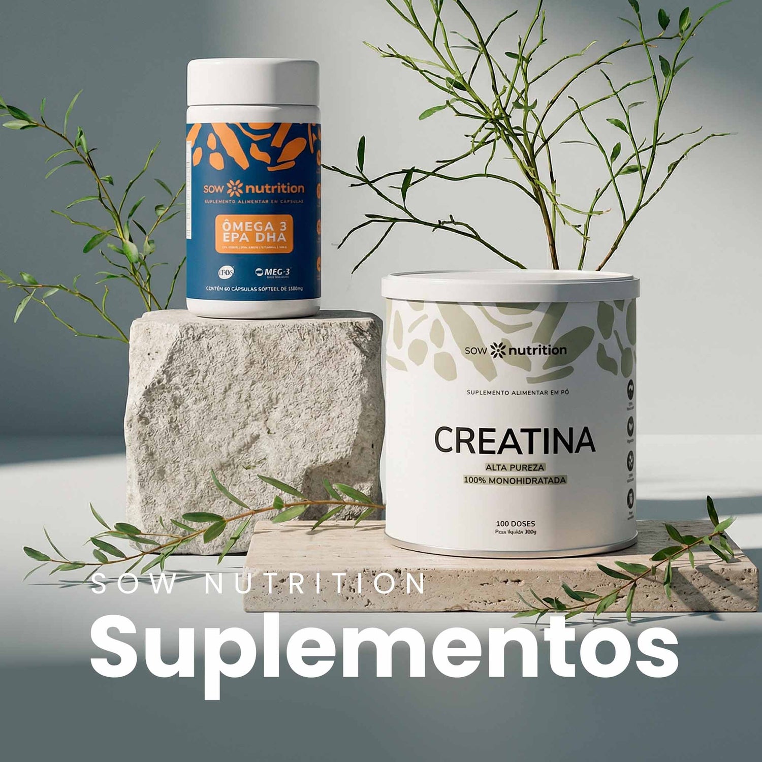 Suplementos